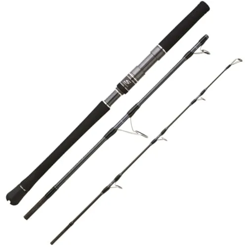 HEARTY RISE Skywalker Jigging Spin 1,63m - Hochleistungs Angelrute - Angelrute von Hearty Rise, 3-teilig mit 220g Wurfgewicht, ideal für Profis und Einsteiger. Perfekt für präzises Jigging und Angelerlebnisse der Extraklasse.