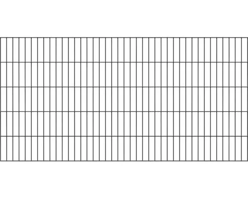 Doppelstab-Gittermatte 2000mm x 1000mm