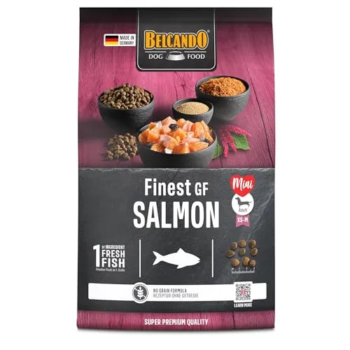 Belcando Finest GF Salmon [4 kg] getreidefreies Hundefutter | Trockenfutter für kleine & mittlere Hunde | Alleinfuttermittel für Hunde ab 1 Jahr