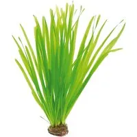 Produktbild Dennerle Plants Aquariumpflanze Vallisneria Spiralis