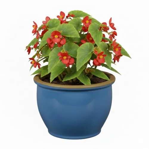 Frostfeste Pflanzgefäße aus Keramik - Wetterbeständige Übertöpfe für Garten & Terrasse in Creme, Lavendel, Soft Blau. Größen von 18cm-38cm (Soft Blau, 18cm x 13cm)