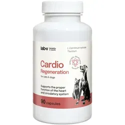 Cardio Regeneration – Unterstützung der normalen Herzfunktion und des Kreislaufsystems, 90 Kapseln