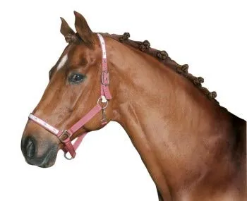 Kerbl Mähnengummi, 500 St./Beutel weiß