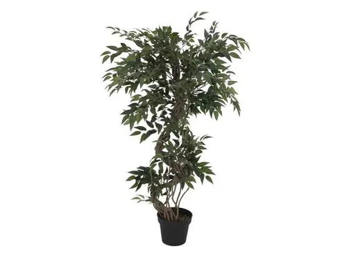 EUROPALMS Ficus Multi Spiralstamm, 130cm
