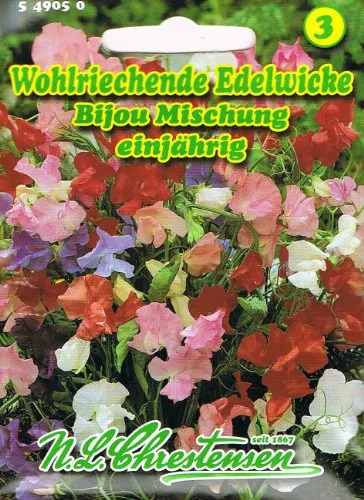 Wohlriechende Edelwicke 'Bijou-Mischung' frühblühend, niedrig, buschig 'Lathyrus odoratus' Wicke