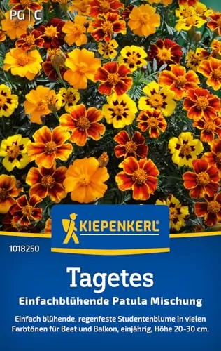 Kiepenkerl Tagetessamen Patula Mischung 1018250 von Kiepenkerl