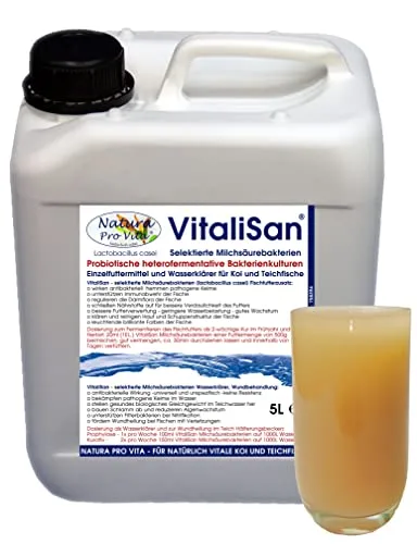 Algenfreier klarer Koiteich Milchsäurebakterien Filterbakterien Teichklärer baut Nährstoffe ab antibakteriell Wundheilung Koi 5L