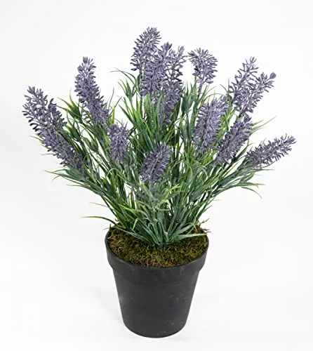 Seidenblumen Roß Künstlicher Lavendelbusch/Lavendel 34cm im Topf FI Kunstpflanzen Kunstblumen Blumen Pflanzen
