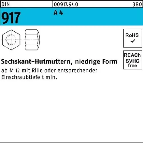 10er PACK(Stk)  000917940000160000 Sechskanthutmutter DIN 917 niedrige Form M 16