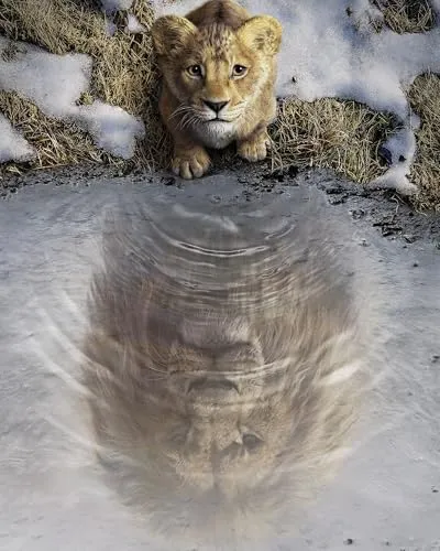 Komar Wandbild- Disney Mufasa The Lion King - Größe 40 x 50 cm - Poster, Kinderzimmer, Dekoration - gerollt ohne Rahmen, Blau,Braun