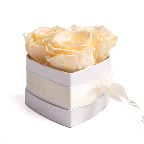 ROSEMARIE SCHULZ Heidelberg Infinity Rosen Rosenbox Herz - 10 x 12 cm 3 konservierte Creme Rosen haltbar 3 Jahre - Ich Liebe Dich Geschenke für Frauen Valentinstag (Beige, Small)