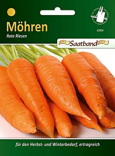 N.L.Chrestensen 42004, Möhren, Rote Riesen, Orange