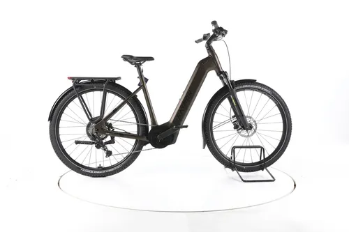 R Raymon Tahona Trekking E-Bike mit Bosch 600Wh Akku