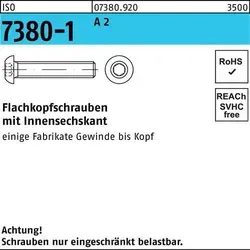 Flachkopfschraube ISO 7380-1 Innen-6kt M5x 25 A 2 500 Stück