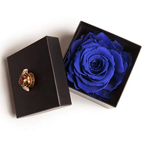 ROSEMARIE SCHULZ Ewige Rose Blau in Box – 3 Jahre haltbar für Valentinstag - Echte, konservierte blaue Rose in eleganter Box, die 3 Jahre blüht. Ideal als pflegeleichtes Geschenk für den Valentinstag. Höhe: 6 cm, Durchmesser: 5-6 cm. Perfekt für romantische Anlässe!