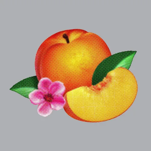 Phoenix Bankrupt! (CD)