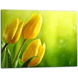 Glasschild Schneidebrett 52x40 Blüten