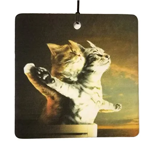 Ali Air Freshener - Titanic-Katzen-Design, personalisierbar - Lufterfrischer, Hängendes Papier, Auto, Haus, Büro