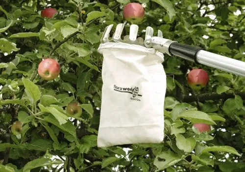 Obstpflücker 175-300 x 13 cm inkl. Teleskopstiel Obstsammler