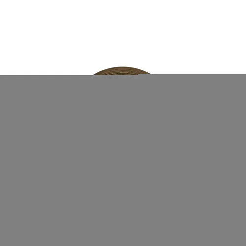 T-Cymbals KPB10 Star Bell 10