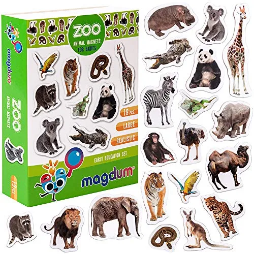 Magdum 19 Magnet Zoo Foto – Magnet Tiere Kühlschrank – Magnetspiele – Magnetisch für Kinder 3 Jahre