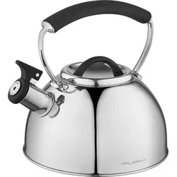 Florina Asta Wasserkocher 2,3 L mit Pfeife