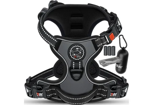 LOVPET® Hundegeschirr ohne Zug & Würgen für kleine Hunde