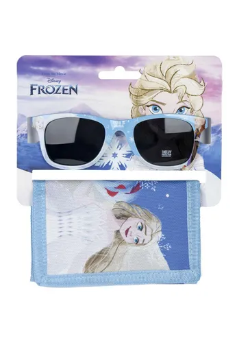 Gefrorene Sonnenbrille und Geldbörse im Set