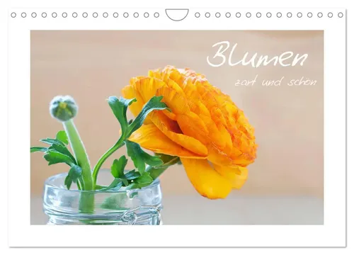 Blumen zart und schön (Wandkalender 2026 DIN A4 quer) - Entdecken Sie die Schönheit der Blumen mit diesem hochwertigen Wandkalender. Perfekt für jeden Raum, mit 12 eindrucksvollen Motiven und umweltbewusster Produktion in Deutschland. Ein ideales Geschenk für Blumenliebhaber!