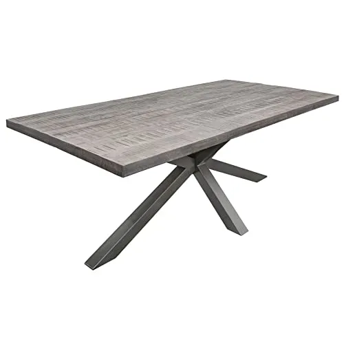 riess-ambiente Esstisch GALAXIE 200cm grau - Esstisch aus lackiertem Mangoholz und futuristischem Metallgestell, Platz für bis zu 10 Personen – ein echtes Design-Highlight für jedes Esszimmer!