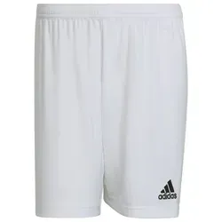 adidas Shorts von adidas