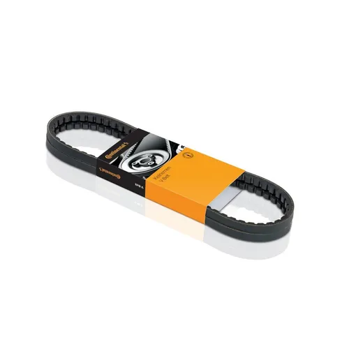 Continental Ctam Keilriemen AVX10X1150