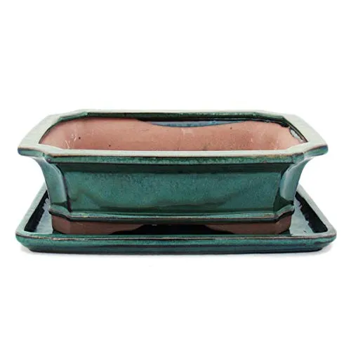 exotenherz Bonsai-Schale mit Unterteller Gr. 4 - Grün - eckig - Elegante eckige Bonsaischale inkl. Unterteller, ideal für stilvolle Pflanzenpräsentation. Maße: L 26cm, B 20cm, H 8cm. Perfekt für Gartenliebhaber und kreative Dekoration.