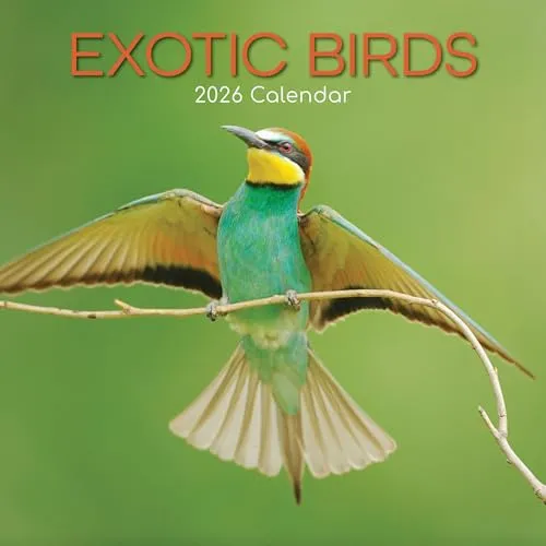 TGSC Exotic Birds Kalender 2026 - 16 Monate - Entdecken Sie den TGSC Exotic Birds Kalender 2026, ideal für Tierliebhaber. Mit großem Raster für einfache Organisation und schönen Bildern exotischer Vögel. Perfekt für Zuhause oder Büro, um wichtige Termine im Blick zu behalten.