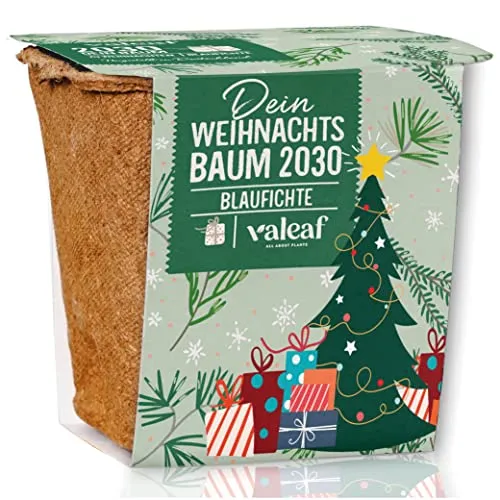 valeaf Weihnachtsbaum Anzucht Set I tolle Geschenk-Idee, Wichtelgeschenke Weihnachten, Nikolausgeschenke und Garten Geschenke I Weihnachtsbaum aus der Dose (Blaufichte)