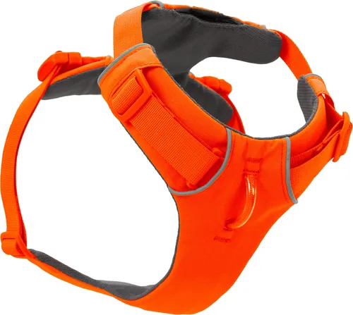 Ruffwear Front Range Hundegeschirr - Blaze Orange XXS - Reflektierendes Y-Geschirr für optimale Sichtbarkeit bei Tag und Nacht, verstellbar und bequem gepolstert für volle Bewegungsfreiheit. Ideal für Spaziergänge und Outdoor-Abenteuer.