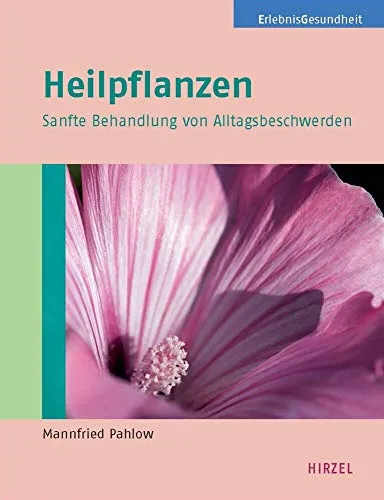 Heilpflanzen: Sanfte Behandlung von Alltagsbeschwerden
