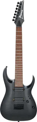 Ibanez RGA742FM-TGF Transparent Gray Flat von Ibanez