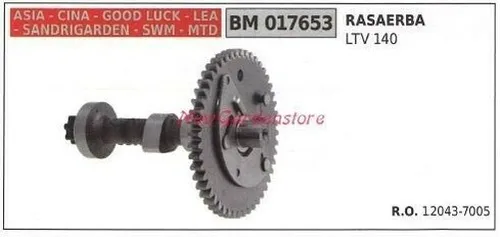 Baum Motor China Motor Rasenmäher Ltv 140 017653