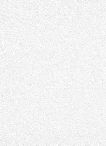Erismann Vliestapete Putzstruktur weiß 15 x 0,53 m