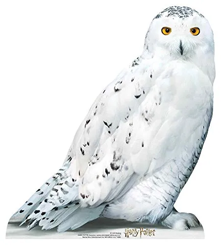 Harry Potter Pappaufsteller Harrys Eule Hedwig von STAR CUTOUTS