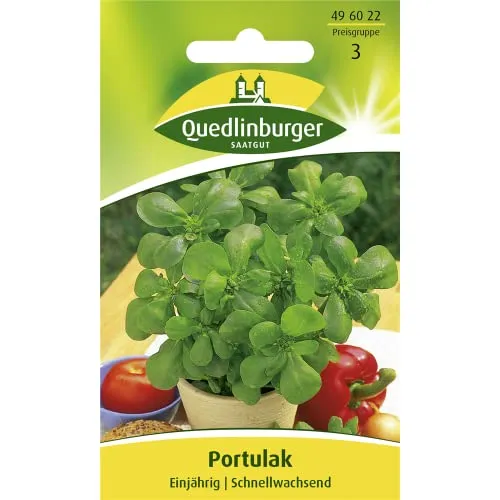 Quedlinburger Saatgut Portulak Samen