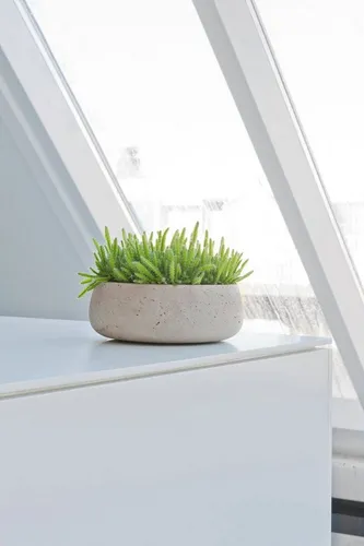 finestgreen Pflanzschale Eileen, Handgefertigte Pflanzschale in Grau - Pflanzschalen, 9 cm hoch und 24 cm im Durchmesser, einzigartig handgefertigt für einen rustikalen Touch in Ihrem Zuhause.