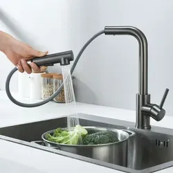 Ausziehbarer Wasserhahn Küche mit 2 Strahlarten