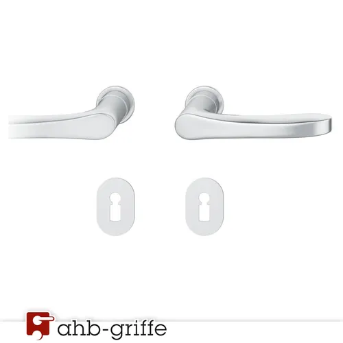 Produktbild FSB Türgriff 1106 Steckgriff Edelstahl matt BB Türdrücker Türbeschlag Türklinke