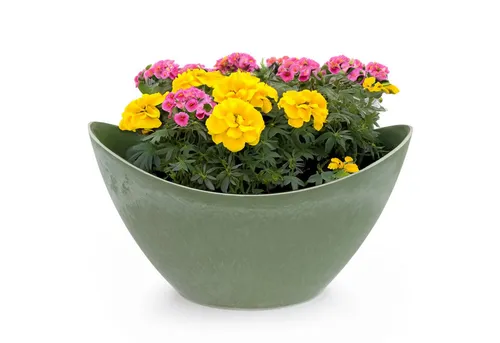 Pflanzschalen von matches21 HOME & HOBBY