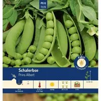 Pabst Keimkraft Schalerbse Früh & Hoch Prins Albert Saatgut