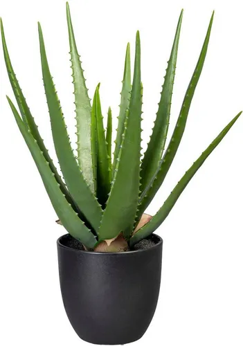 Künstliche Zimmerpflanze Aloe, Creativ green, Höhe 47 cm
