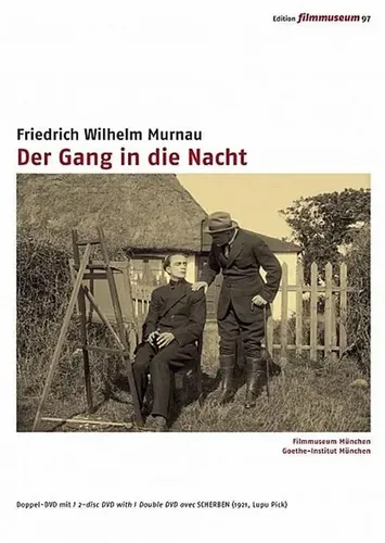 Der Gang in die Nacht [2 DVDs] - Infoprogramm über fesselnde Geschichten, ideal für Filmfans, die emotionale und tiefgründige Erlebnisse suchen.
