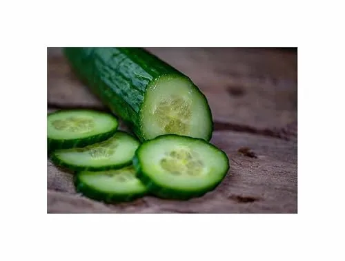 Stk - 4x Schlangengurke Fitness F1-Gurken Gemüse Garten Pflanzen - Samen KS443 - Seeds & Plants Shop by Ipsa